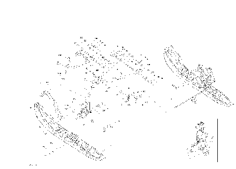 07- Suspension, Front - System - Enduro