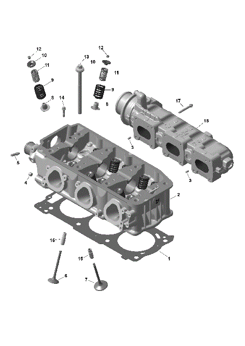 01- ROTAX - Cylinder Head