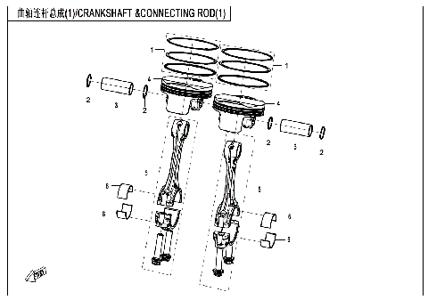 CRANKSHAFT & CONNECTING ROD
