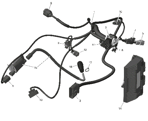 01- ROTAX - Engine Harness And Electronic Module