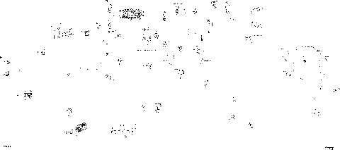 08- Electric - Main Harness - 710007465 - International