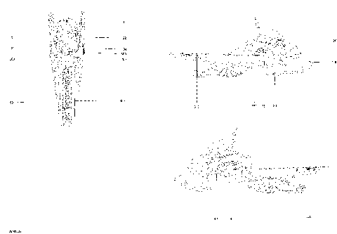 09- Decals Tundra - 600HO E-TEC - Package XTREME