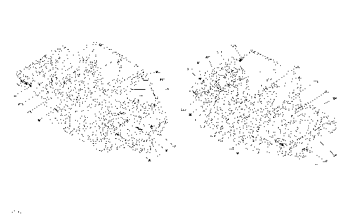 09- Decals - All Models