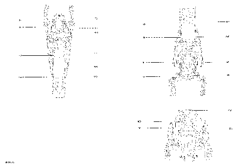 09- Decals - Package SP