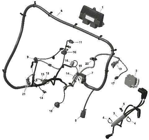 01- ROTAX - Engine Harness And Electronic Module
