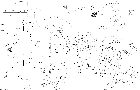 10- Electrical Accessories
