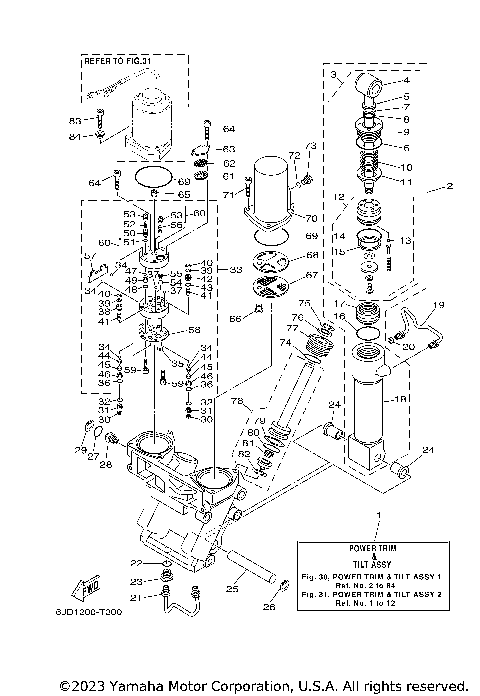 POWER TRIM TILT ASSY 1