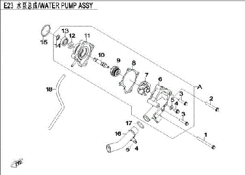 WATER PUMP ASSY