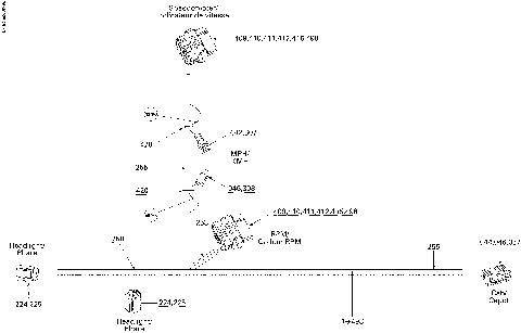 10- Electrical Harness, Hood