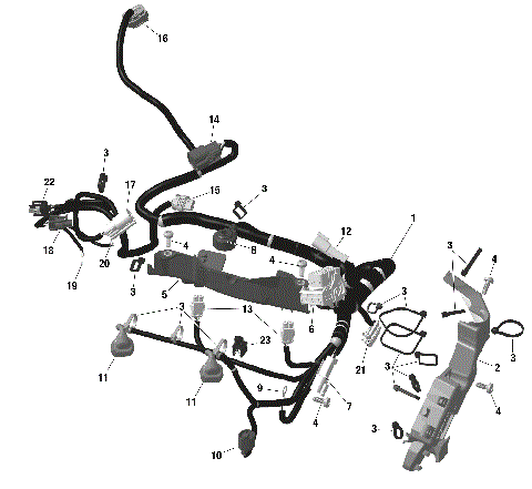 01- ROTAX - Engine Harness And Electronic Module - NA