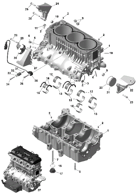 01- ROTAX - Crankcase