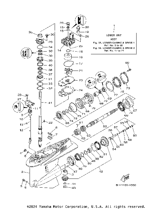LOWER CASING & DRIVE 1