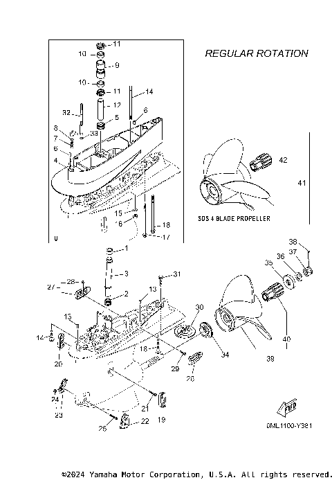 LOWER CASING DRIVE 2
