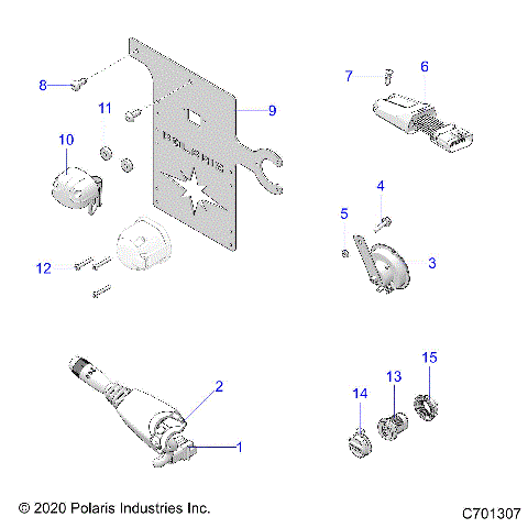 ELECTRICAL, COMPONENTS, AND LICENSE PLATE - R21RRE99FP/F9 (C701307)