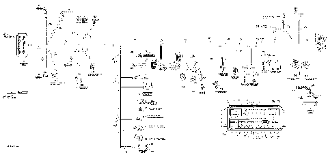 10- Main Harness XT, Europe