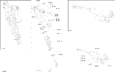 08- Rear Shocks MXZ - 850 E-TEC - Package XRS