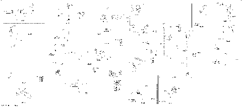 08- Electric - Main Harness - 515179079 - Manual Start
