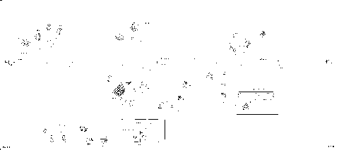 10- Main Harness - 515177991