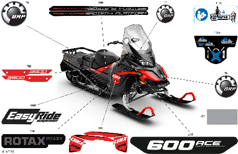 07- Body - Decals