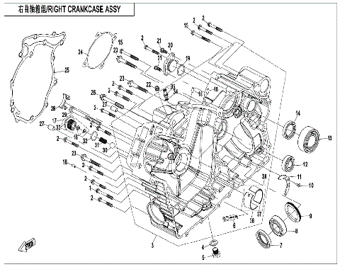 RIGHT CRANKCASE ASSY.