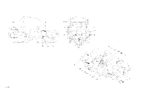 09- Decals - Commander