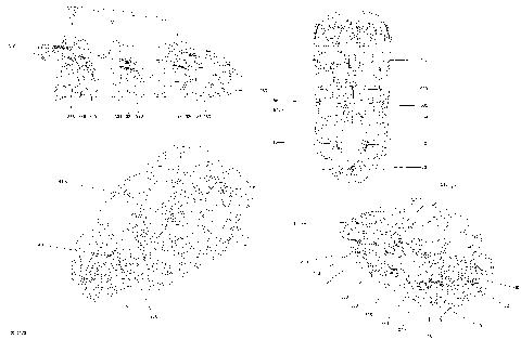 09- Decals - 1000R EFI