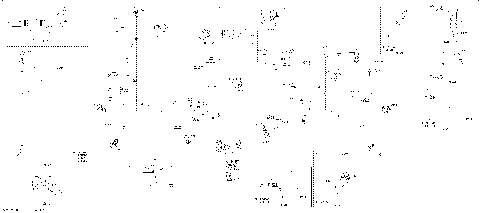 08- Electric - Main Harness - 515178605 - Model with Multigauge VIP Medium