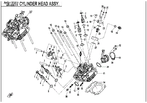 CYLINDER HEAD ASSY.