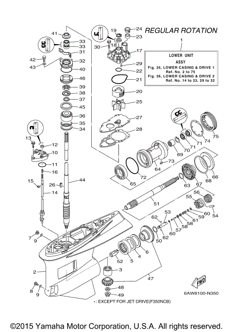 LOWER CASING DRIVE 1