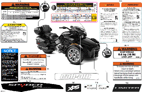 07- Body - Decals