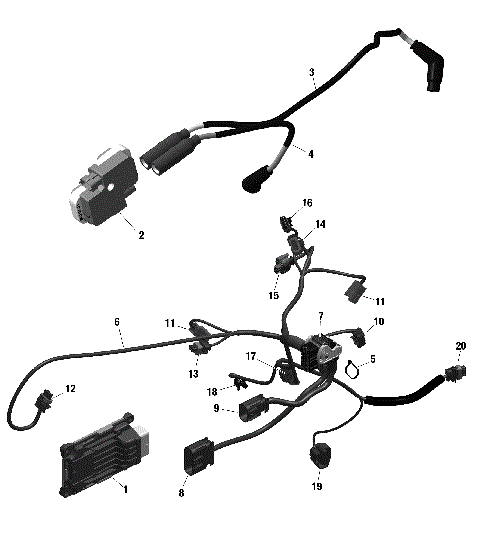 01- ROTAX - Engine Harness And Electronic Module