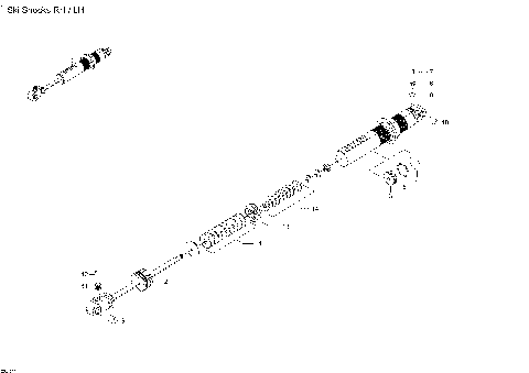 07- Ski Shocks - 800 E-TEC