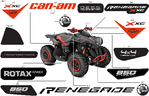 07- Body - Feature Decals