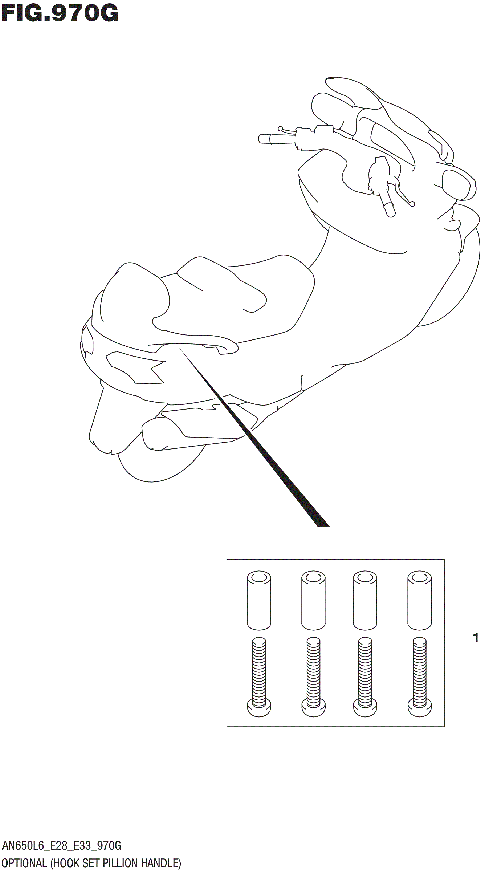 OPTIONAL (HOOK SET PILLION HANDLE)