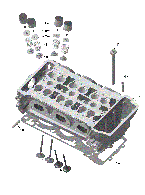 01- ROTAX - Cylinder Head
