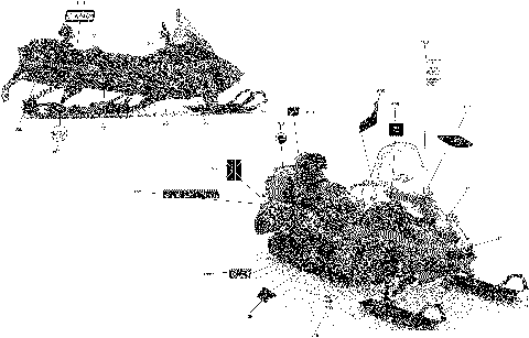 09- Decals Commander - 50 th Anniversary