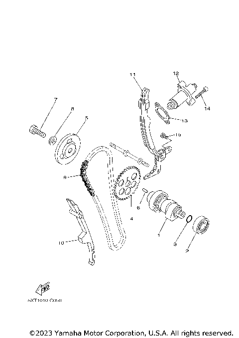 CAMSHAFT & CHAIN