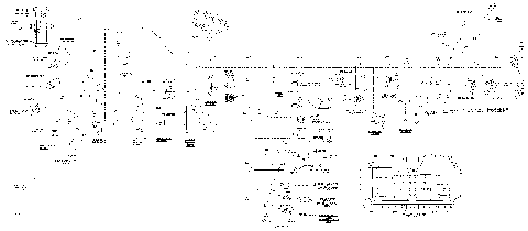 10- Main Harness 800R EFI, Europe