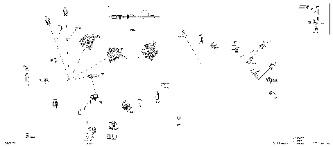 08- Electric - Main Harness - 515178956
