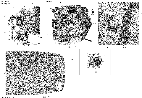 10- Electrical System 5