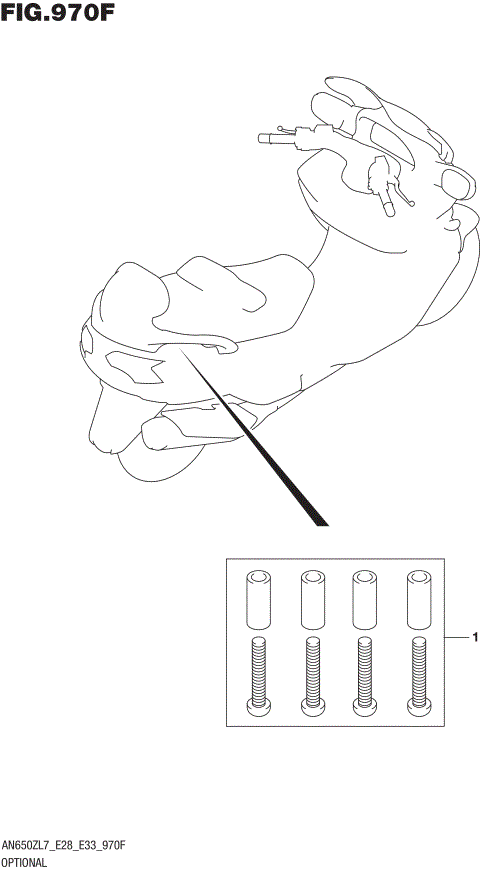 OPTIONAL (HOOK SET PILLION HANDLE)