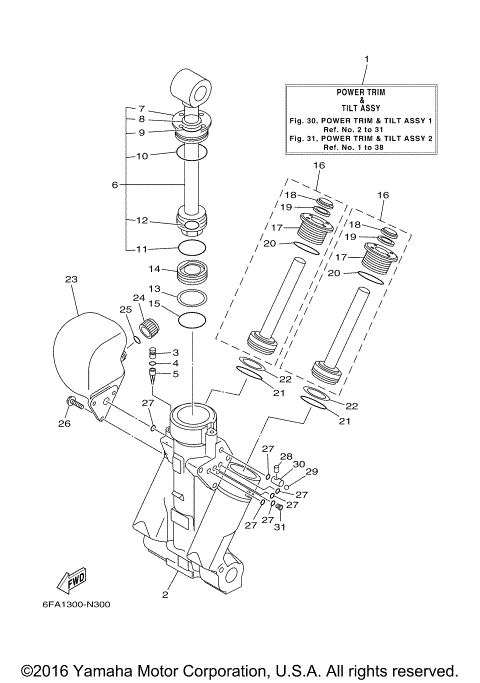 POWER TRIM TILT ASSY 1