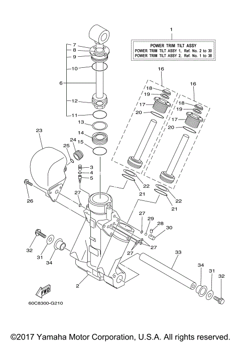 POWER TRIM TILT ASSY 1