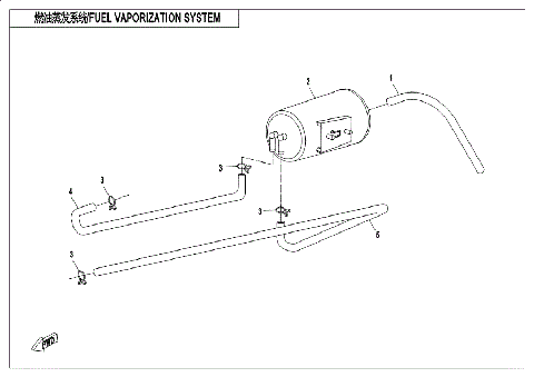 FUEL VAPOR SYSTEM
