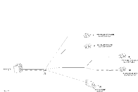 10- Electrical Harness Radio, LTD