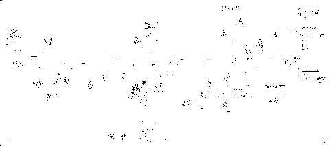 10- Main Harness 515177988