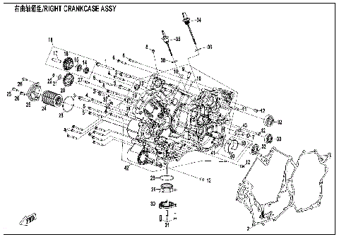 RIGHT CRANKCASE ASSY