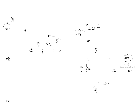 10- Main Harness 710006403 Maverick Trail & Sport