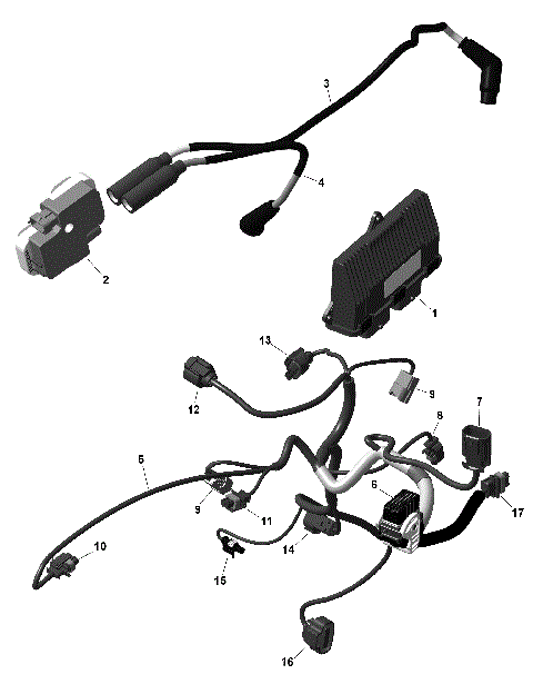 01- ROTAX - Engine Harness And Electronic Module