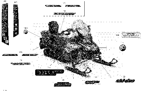 09- Decals - Package Sport